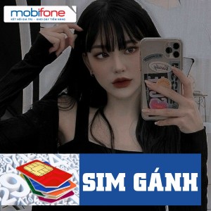 Sim số gánh là gì? Tất tần tật thông tin về sim ghánh