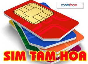 Sim Tam Hoa là gì, ý nghĩa của sim Tam Hoa
