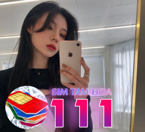 Bật mí ý nghĩa sim tam hoa đuôi 111