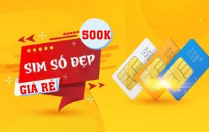 Mua sim số đẹp dưới 500.000đ nên chọn loại sim nào 