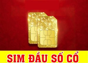 Sim đầu số cổ là gì, gợi ý những sim số đẹp HOT nêm lựa chọn 