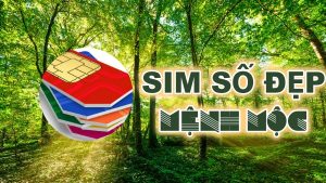 Sim số đẹp hợp mệnh Mộc và các lựa chọn sim chuẩn cho người mệnh Mộc 