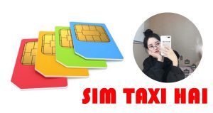 sim taxi hai va nhung dieu tuyet voi nguoi dung nen biet