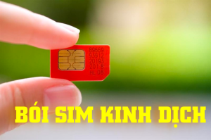 Bói Sim Kinh Dịch và thủ thuật tính đơn giản ai cũng tự làm được 