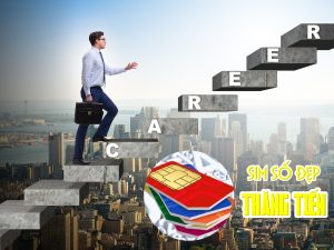 Cách để chọn sim số đẹp thăng tiến cực dễ bạn nên biết 