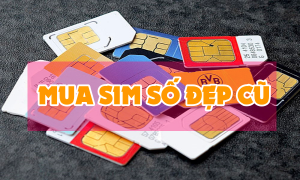 Những lưu ý cần biết khi mua sim số đẹp cũ bạn chớ bỏ qua
