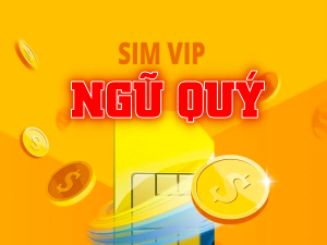 Sim ngũ quý là gì và ý nghĩa ẩn đằng sau những bộ sim ngũ quý