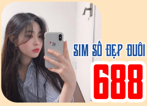 Sim số đẹp lộc phát phát 688 và những điều thú vị có thể bạn chưa biết 