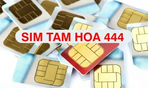 Sim tam hoa 444 lựa chọn chất chơi và tiết kiệm cho dân mê sim số đẹp 