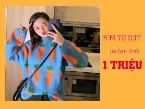 Sim tứ quý giá dưới 1 triệu có hay không? 