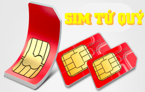 Sim Tứ Quý và tất tần tật những điều bạn nhất định phải biết