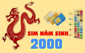 Cách chọn sim năm sinh 2000 đẹp và ấn tượng