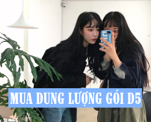 Cách mua dung lượng cho gói VD149 Vinaphone nhận 1GB/ ngày