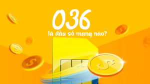 Đầu số 036 là mạng gì? Ý nghĩa, có nên sử dụng đầu số này? 
