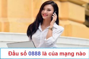 đầu số 0888 là của mạng nào