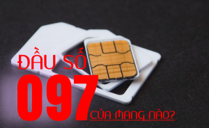 Đầu số 097 mạng gì? Những thông tin nhất định phải biết về đầu số 097 