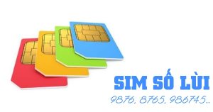Sim số lùi là gì? Giải mã ý nghĩa sim lùi có tốt không