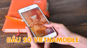- Tổng hợp các đầu số mạng Vietnamobile mới nhất