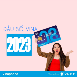 Tổng hợp các đầu số Vinaphone mới nhất 2023 - Gồm những đầu số nào