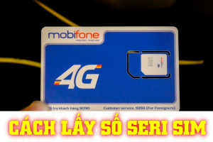 Hướng dẫn các cách lấy số seri sim Mobifone miễn phí nhanh chóng