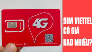 Hỏi đáp: Sim Viettel bao nhiêu tiền 1 cái hiện nay? 