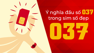 Đầu số 037 là mạng gì cách chọn sim đầu số này thích hợp nhất