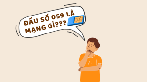 Đầu số 059 là mạng gì khám phá ý nghĩa của đầu số 
