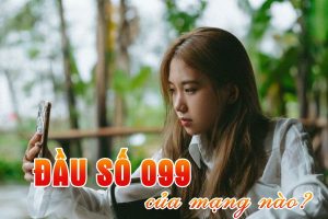 Đầu số 099 là mạng gì? Tìm hiểu ý nghĩa các con số