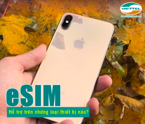 eSim Viettel đang hỗ trợ trên những loại thiết bị nào