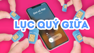 Khám phá sim lục quý giữa là gì? Bật mí thú vị có thể bạn chưa biết 