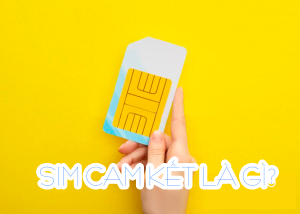 Tìm hiểu chi tiết sim cam kết là gì? hiểu đúng về sim cam kết Viettel, Vinaphone, Mobifone 