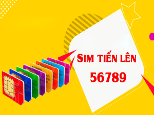 Sim tiến lên là gì ? Mua sim tiến lên ở đâu chất lượng giá tốt 