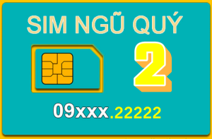 Giải mã ý nghĩa của sim đuôi ngũ quý 22222