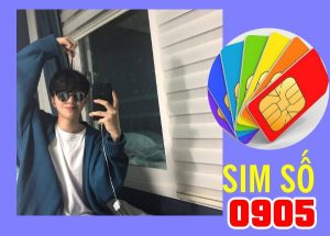 Mua sim 0905 giá rẻ tại Đà Nẵng ở đâu?