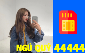 Sim ngũ quý 4 có ý nghĩa gì? chọn mua số 44444 giá ưu đãi