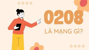 Đầu số 0208 là của mạng gì? Ý nghĩa của đầu số