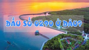 Đầu số 0290 là mạng gì? ở đâu? Những thông tin cần biết