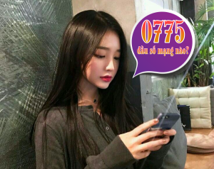 Đầu số 0775 là mạng gì? Ý nghĩa và mua sim đầu 0775 giá rẻ ở đâu