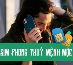  Hướng dẫn cách chọn sim số đẹp hợp mệnh Thổ chuẩn xác