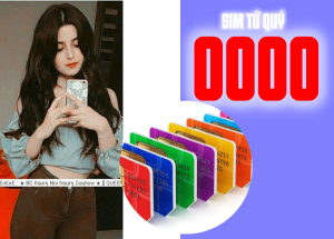 Sim tứ quý 0000 có ý nghĩa gì? hợp mệnh nào? 