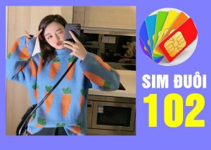  Ý nghĩa của sim đuôi 102 là gì? thông tin cần biết