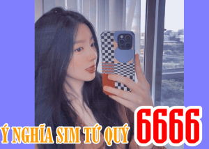 Ý nghĩa sim tứ quý 6666 có ý nghĩa như thế nào tất tần tật điều thuê bao nên biết 