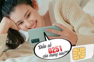 Đầu số 0251 là của mạng gì? ở đâu và những thông tin cần biết