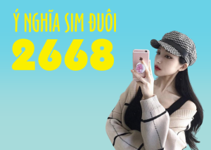 Sim đuôi 2668 có ý nghĩa gì ? Những bật mí thú vị về dòng sim này