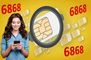 Sim đuôi 6868 có gì hấp dẫn những bí mật phong thuỷ về sim số đẹp 6868