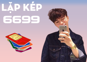 Sim đuôi lặp kép 6699 có ý nghĩa như thế nào?