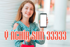Sim ngũ quý 33333 có ý nghĩa gì - Tiền tài phú quý