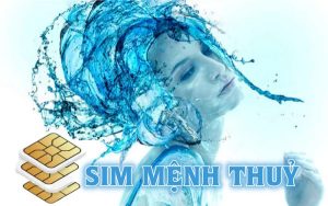 Cách chọn sim số đẹp cho người mệnh Thuỷ phù hợp nhất 