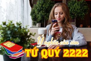 Sim tứ quý 2222 có ý nghĩa gì? 4 mùa viên mãn 