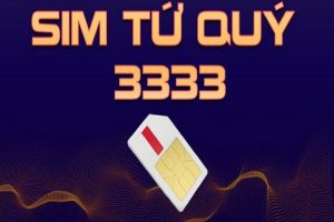 Sim tứ quý 3333 có ý nghĩa gì cách chọn sim phù hợp 